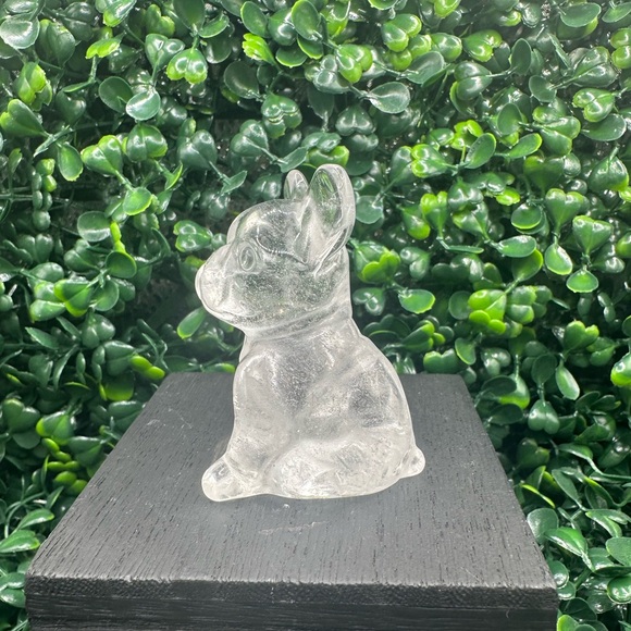 🚫SOLD🚫Clear Quartz Frenchie Dog Carving - Picture 4 of 7